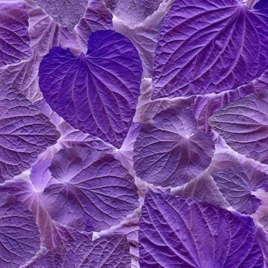 Sandalwood kiss - Fragancia pura