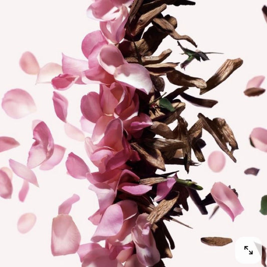 Warm Harmony - Fragancia spray