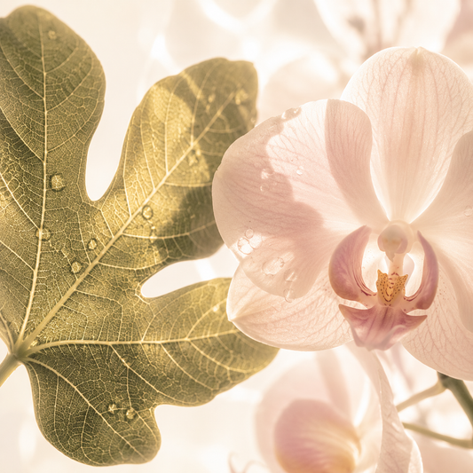 Fig Blossom - Fragancia pura